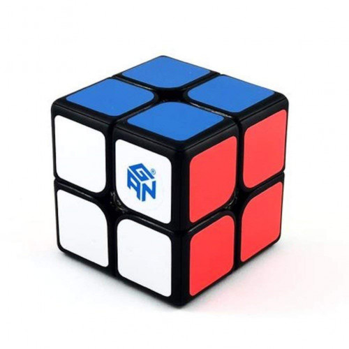 GAN 249 V2 M 2x2
