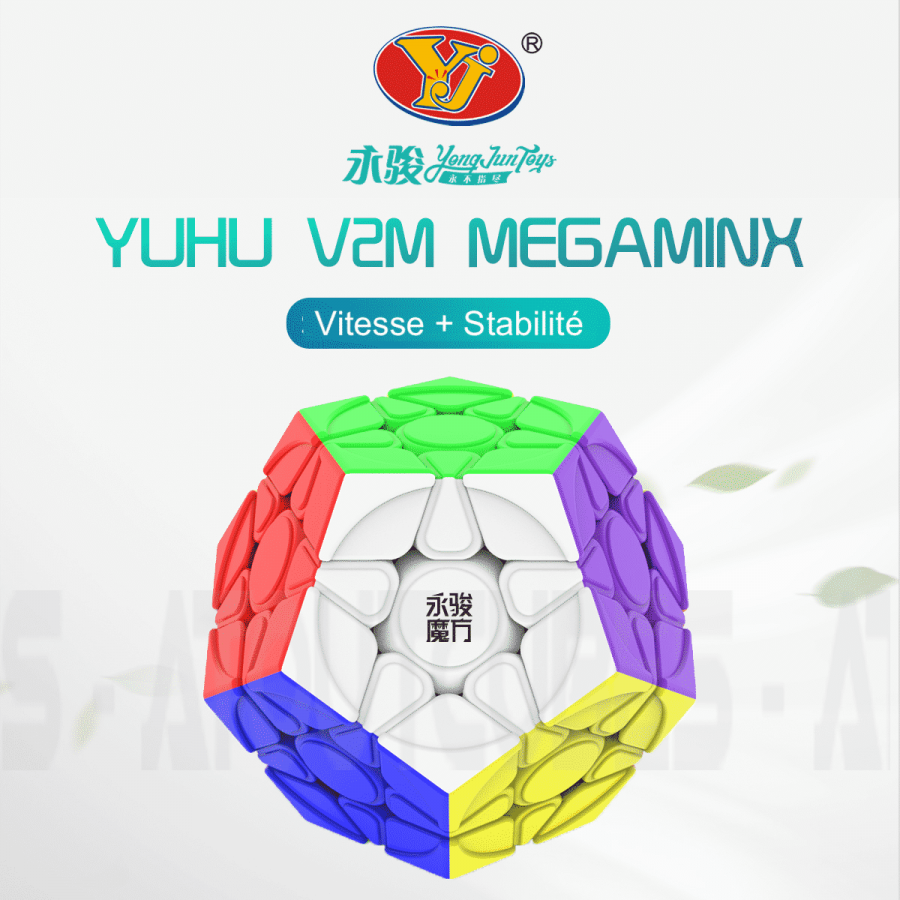 YJ Yuhu V2 M Megaminx