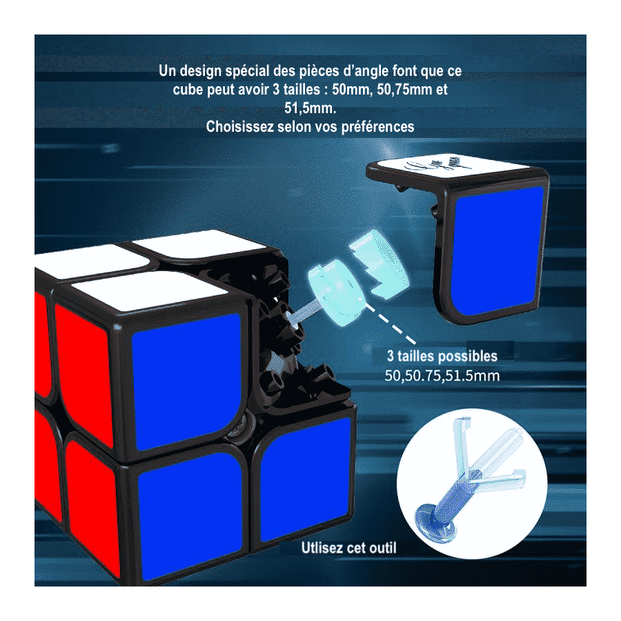 GuoGuan XingHen TSM 2x2