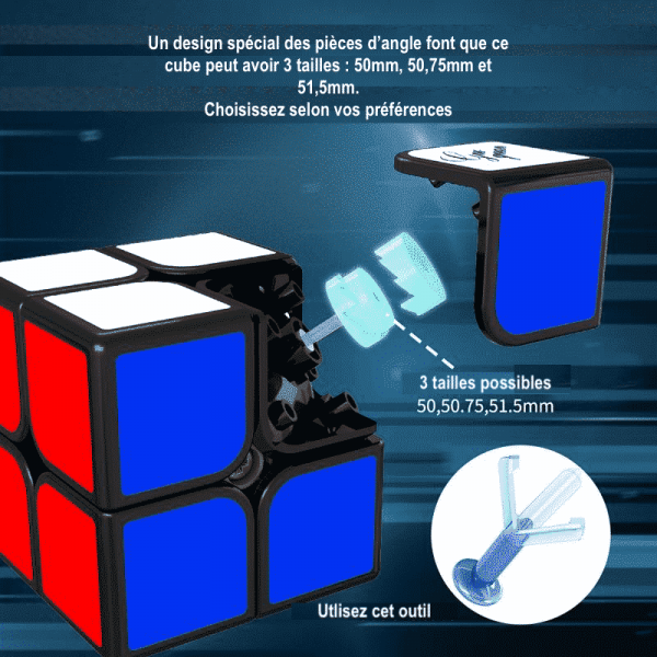 GuoGuan XingHen TSM 2x2