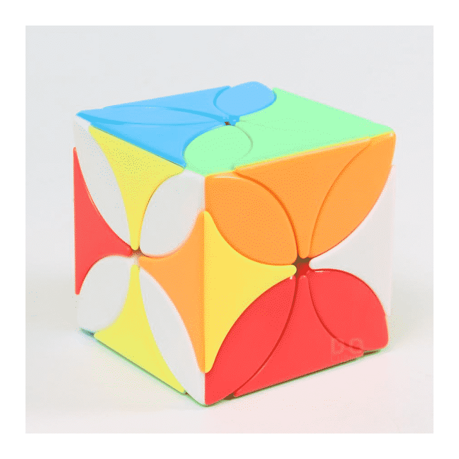 Meilong Trèfle 4 feuilles