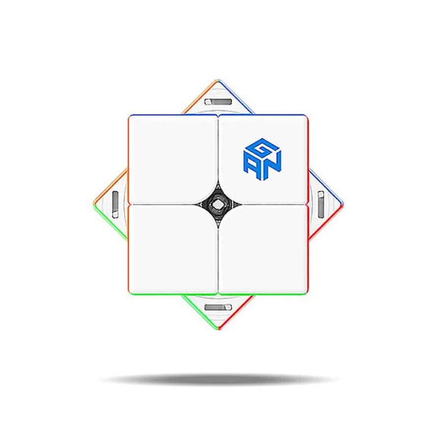 GAN 251 M Leap 2x2