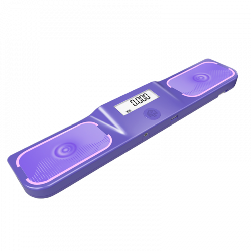 Gan Halo Timer Standard