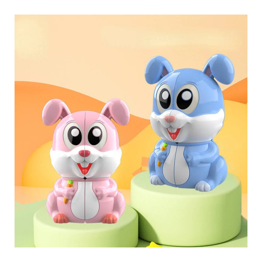 Le Lapin cube 2x2