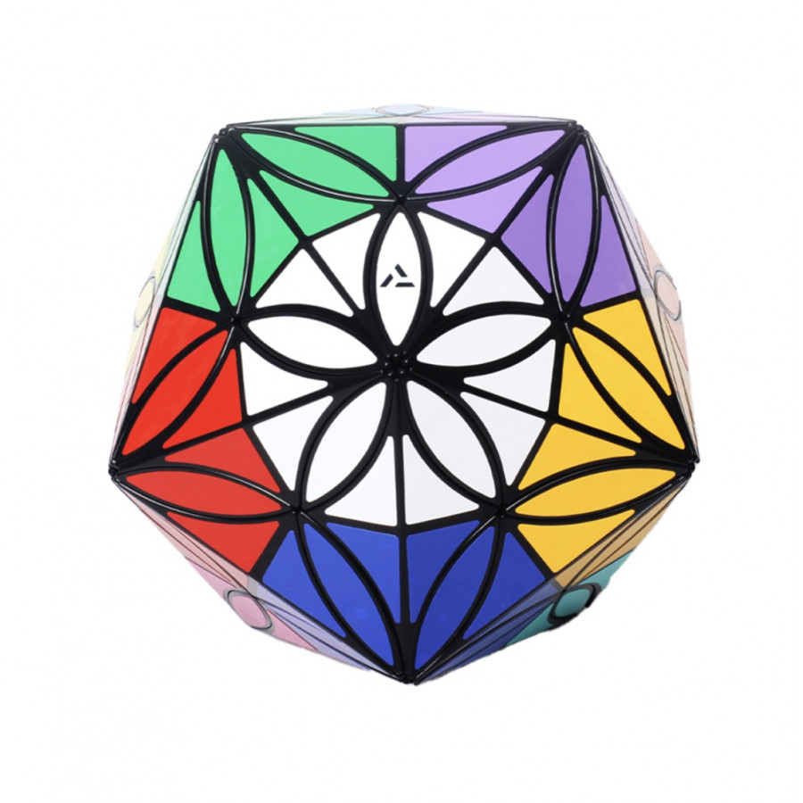 AJ Clover Icosaèdre 12 couleurs