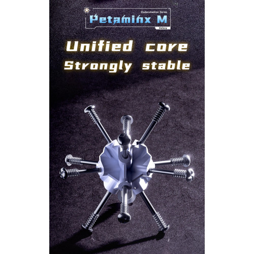 DianSheng Galaxy Magnetic Petaminx