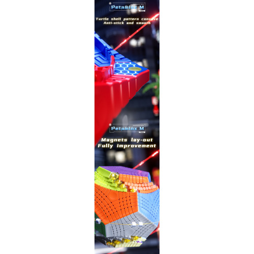 DianSheng Galaxy Magnetic Petaminx