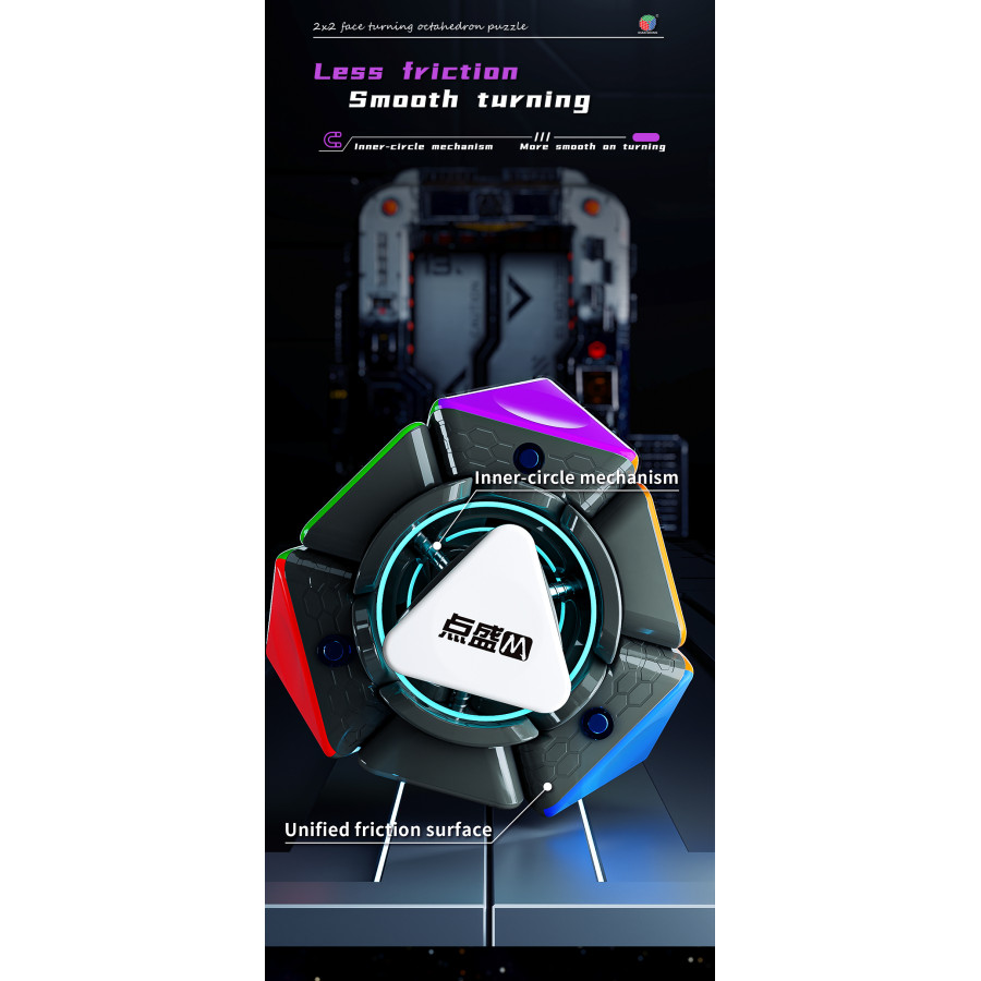 DianSheng FTO 2x2 Magnetique Noir