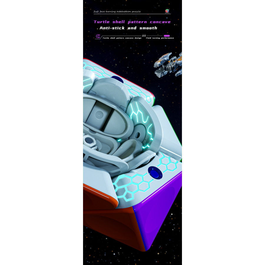 DianSheng FTO 2x2 Magnetique Noir