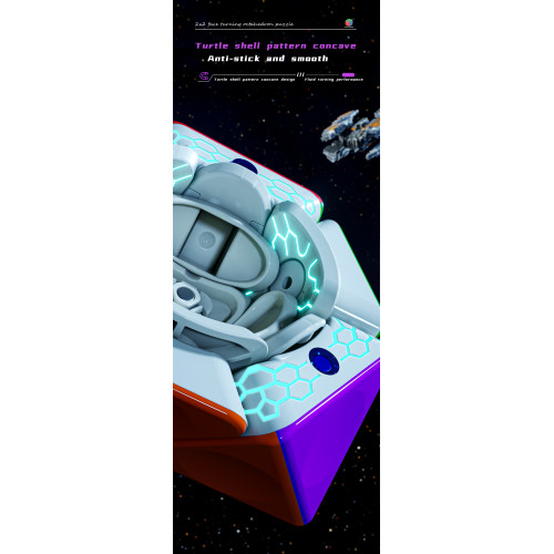 DianSheng FTO 2x2 Magnetique Noir