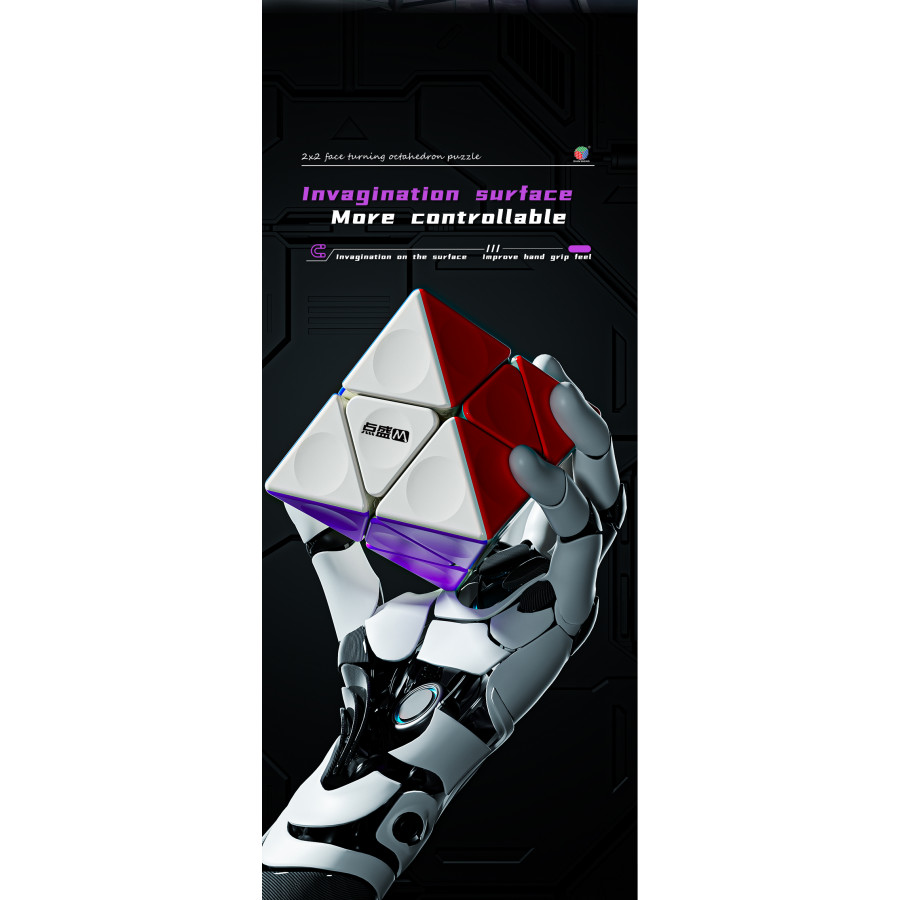 DianSheng FTO 2x2 Magnetique Noir