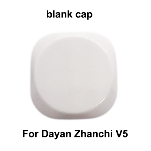 Centre blanc sans logo pour DaYan ZhanChi V5 M