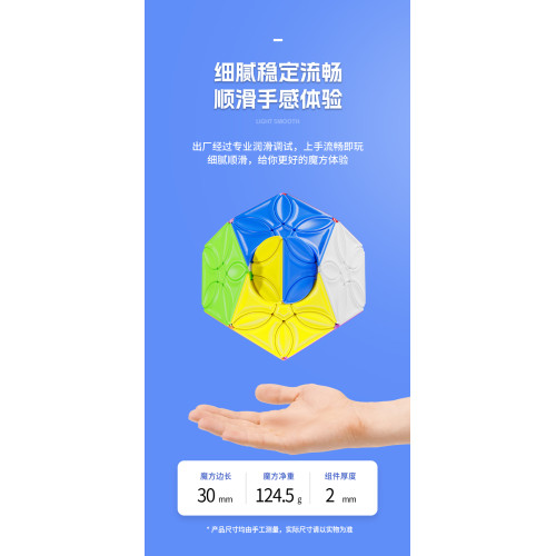 ShengShou Blossoms Megaminx