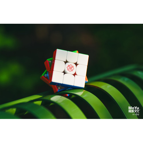 MoYu Super WeiLong V2 18 cumpleaños