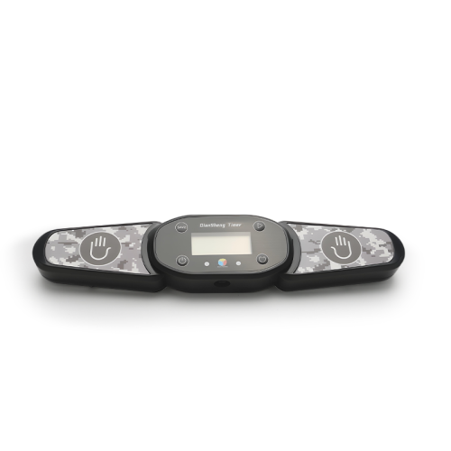Timer DianSheng (Type A)