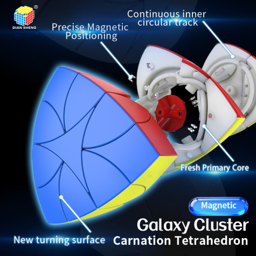 DianSheng Carnation Tétraèdre M