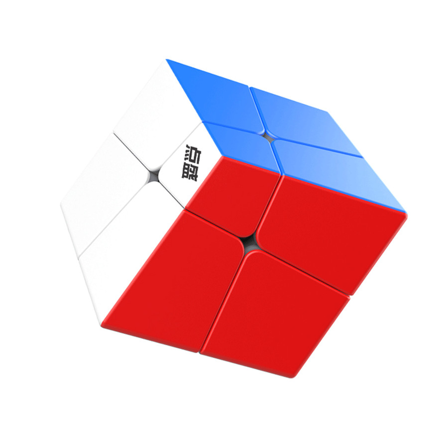 Diansheng Squished 2x2