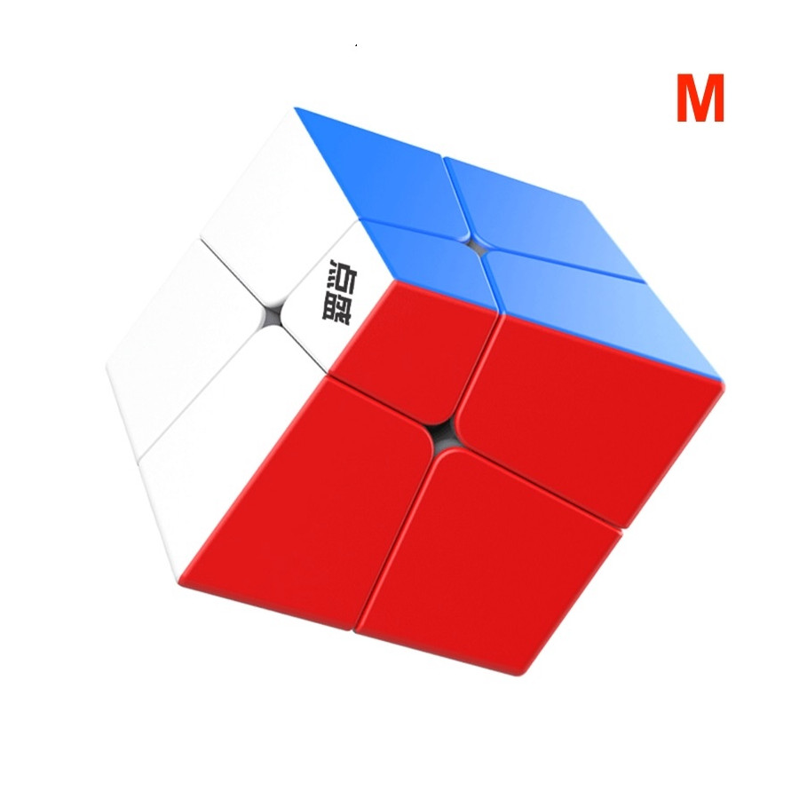 Diansheng Squished 2x2 Magnetic